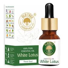 White Lotus 